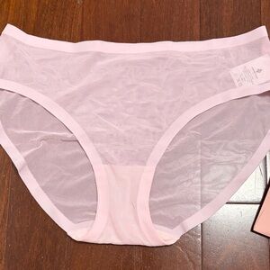 Sheer Mesh Bikini Panty - Light Pink